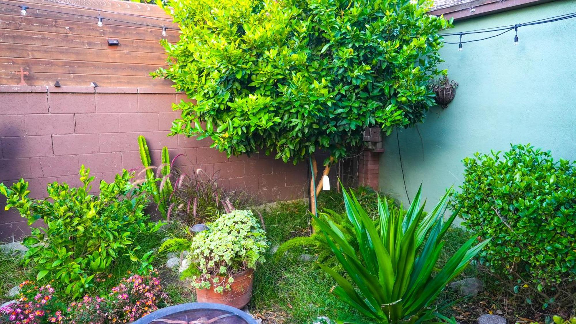 Cozy Private Guest House Los Angeles Eksteriør billede